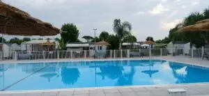 WhatsApp Image 2025-07-15 at 13.16.03